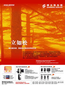 广告设计的多元化展现 从传统媒体到数字时代的创意实践